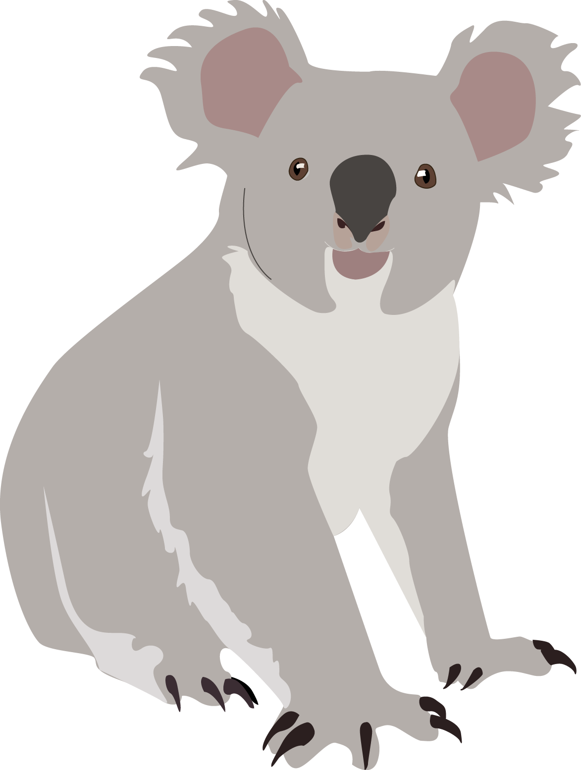 koala