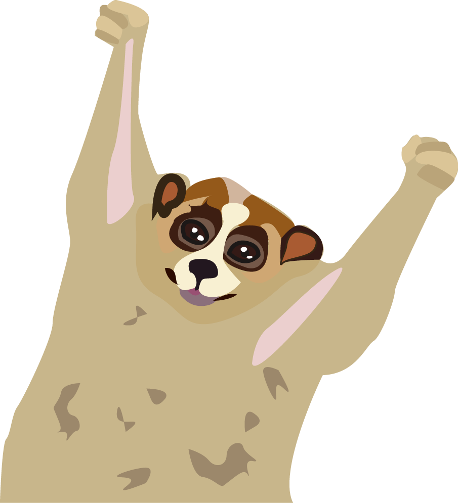 slowloris
